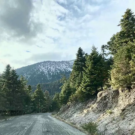 Central Artistic 2-bedroom 79sqm *