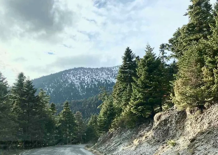 Central Artistic 2-bedroom 79sqm *